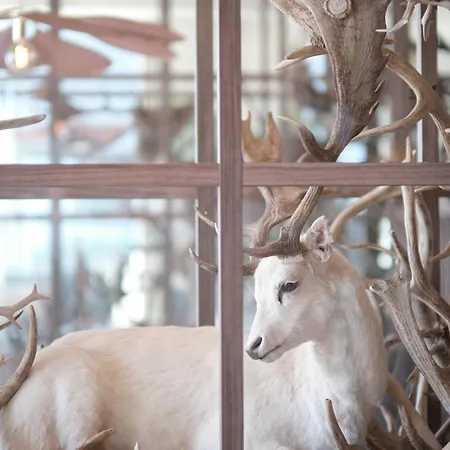 Boutique Blendin Aan Zee 4* 블로에멘달